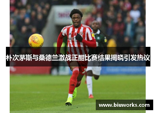朴次茅斯与桑德兰激战正酣比赛结果揭晓引发热议